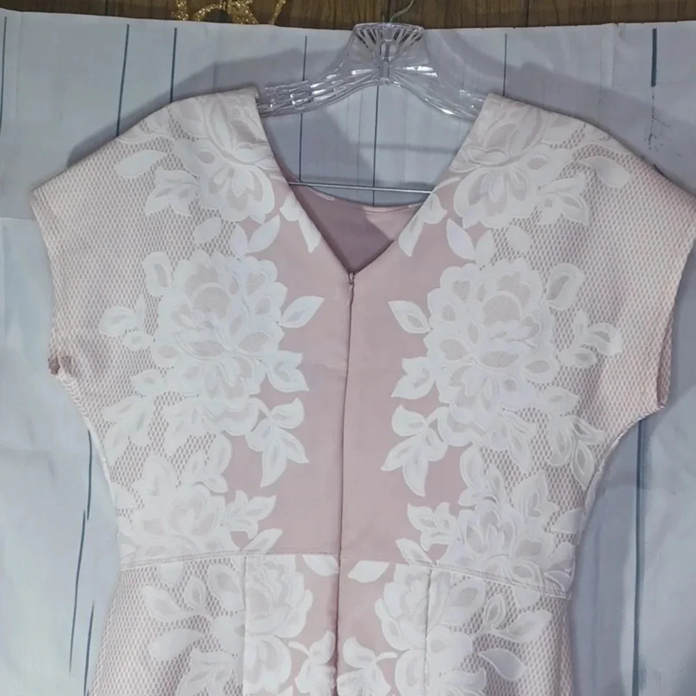 Enfocus Studio Pink and White Lace Sheath dress - Picture 8 of 9